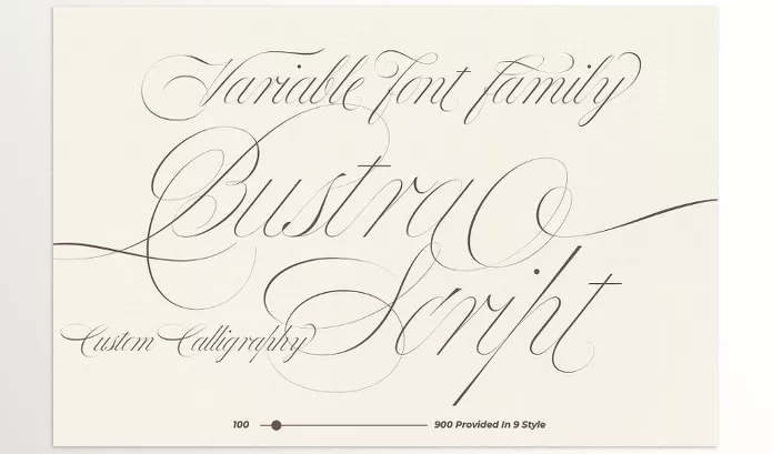 CreativeMarket – Bustra Script Pro Font Download 91936570