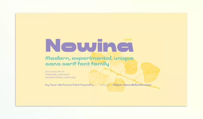 Myfonts – Nowina Font Family Download