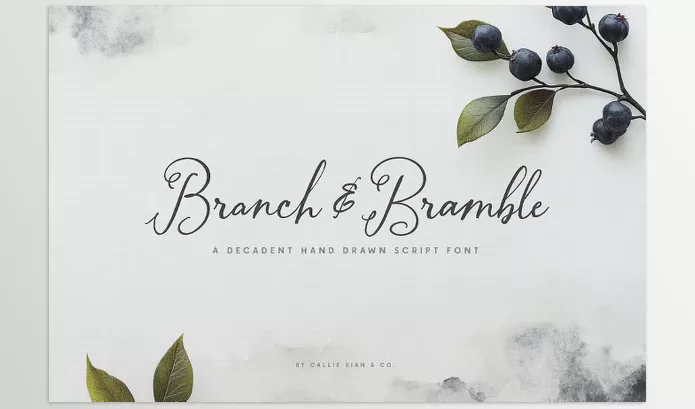 Creative Market – Branch and Bramble Calligraphy Font Download 291206359