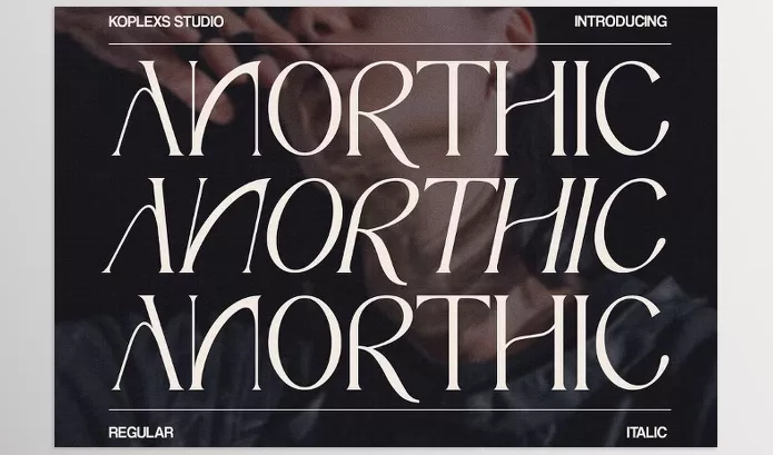 Creative Market – Anorthic Modern Serif Font Download 92173302