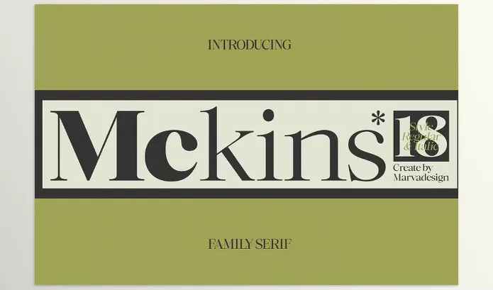 Creative Market – Mckins Family Serif Font Download 291343174