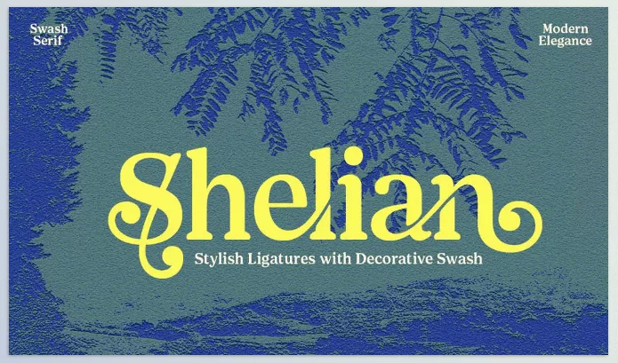Creative Market – Shelian Typeface Download 291371554