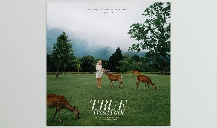 Itijarve – True Preset Pack Download