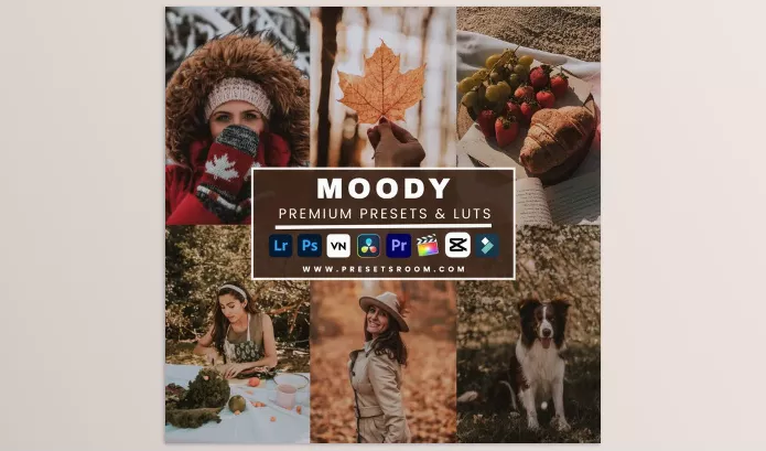 Presetsroom – Moody Lightroom Presets and Luts Collection Download