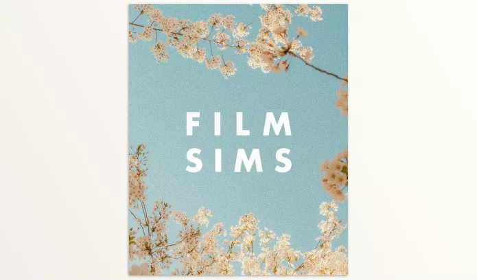 Media by AV – AV FILM SIMS BUNDLE (4 PACKS) Download