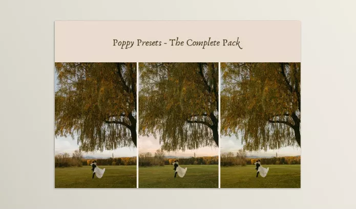 Ashlynlee – Poppy Presets Complete Pack Download