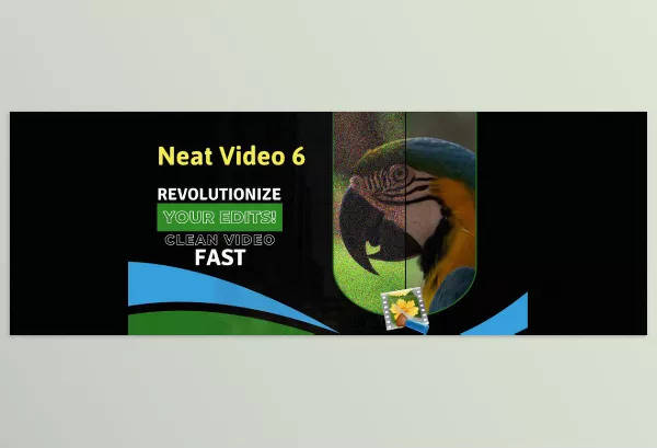 ABSoft – Neat Video Pro Download v6.0.5 (Win, Mac-v4.8.8) (for DaVinci Resolve, Ae, Pr)