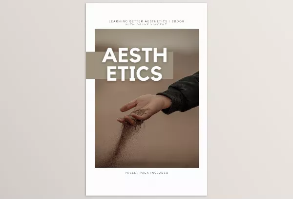 Drake Vincent – Building A Better Aesthetic Ebook + Presets Download