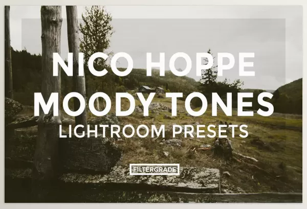 FilterGrade – Nico Hoppe Moody Tones Lightroom Presets Downloads