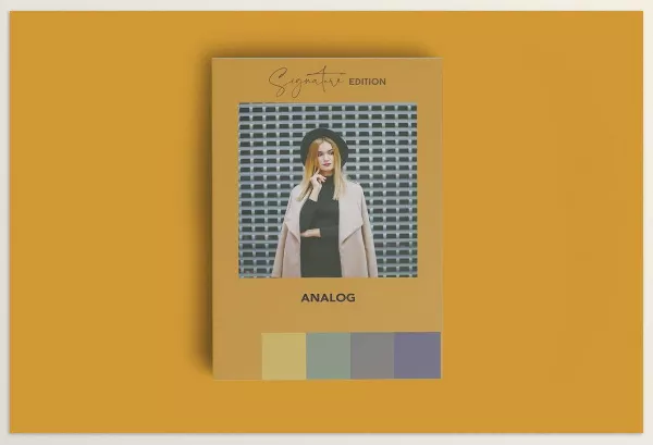 Creative Market – Analog Signature Mobile Lr Preset Download 5991857
