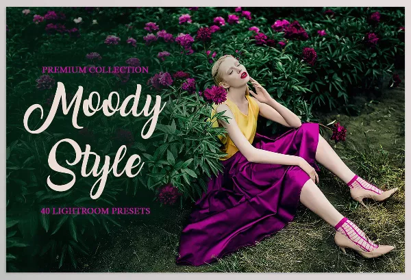 Creative Market – Moody Style Presets for Lightroom Download 4291241