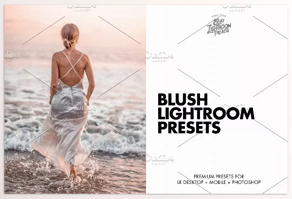 Creative Market – 11 Best Blush Pink Lightroom Presets Download 6467472