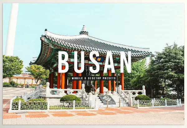 Creative Market – Busan Pro Lightroom Presets Download 6811631