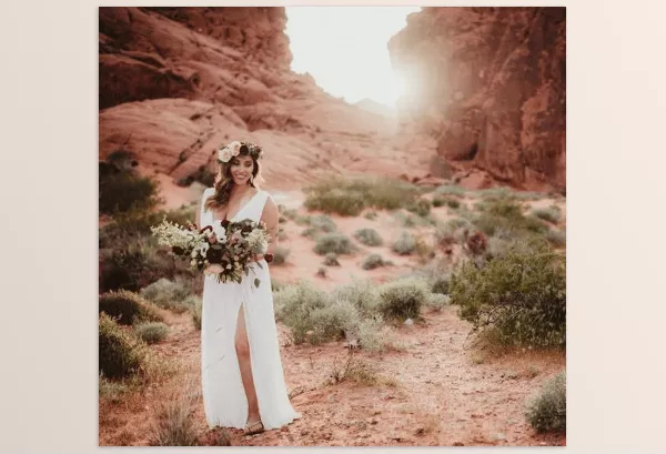 Twig and Olive Photography – Lightroom and ACR Presets Harvest Matte Download