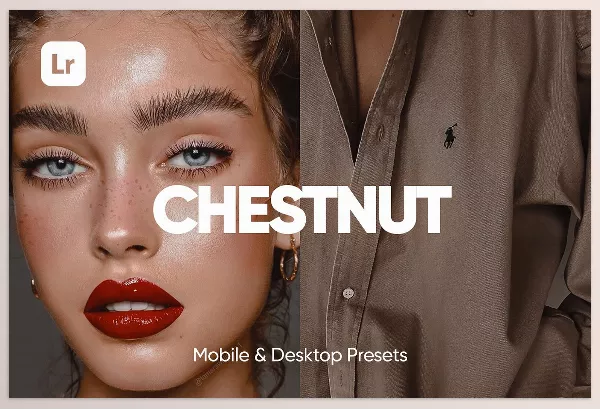Creative Market – 6 CHESTNUT LIGHTROOM PRESETS Download 6734081