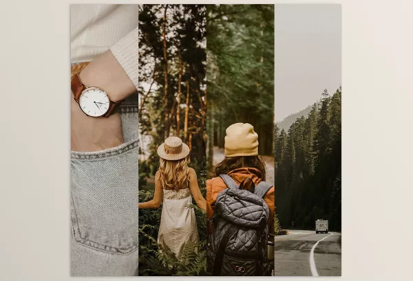 Jungle Presets – Minimal Brown Collection (LR Desktop and Mobile) Download