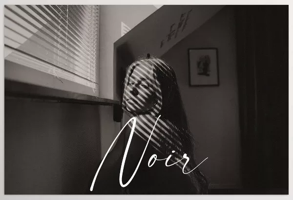 Kai Boettcher – Noir B and W Preset Pack Download