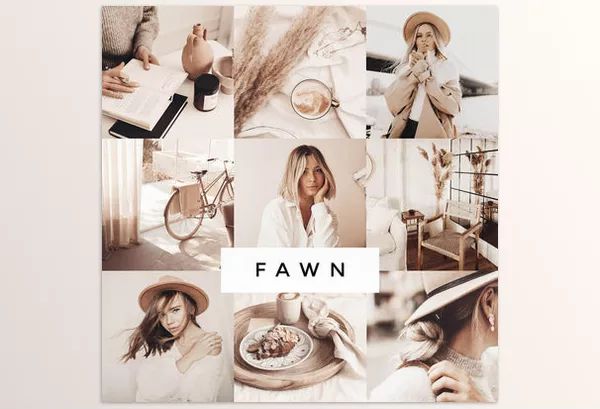 Loox Preset – Fawn Lightroom Presets Download