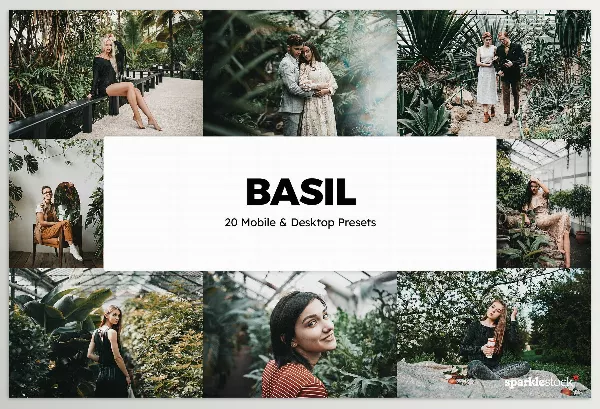 Artstation – 20 Basil LUTs and Lightroom Presets Download (U3F2WNV)