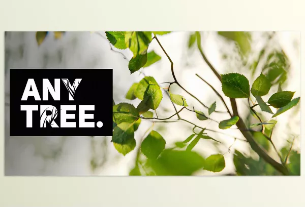 Blender – Anytree Download v2.1.2 (Trees With Any Shape)