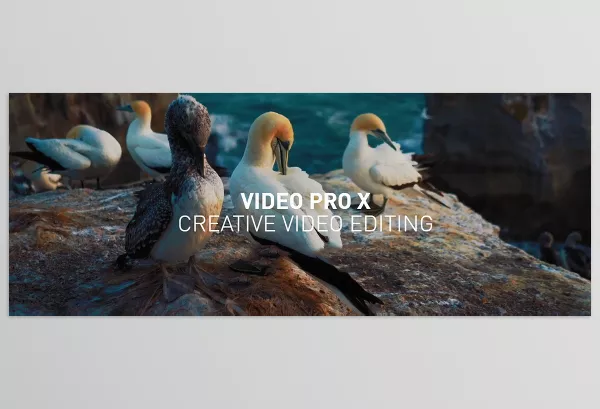 MAGIX – Video Pro X16 Download v22.0.1.260 (Win)
