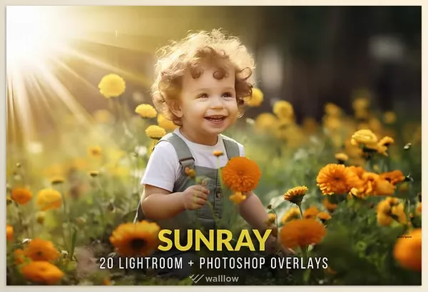 Creative Market – Sunlight photo overlays PNG and JPG Download 92002922