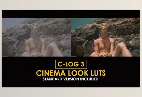 Videohive – C Log3 Cinema Look and Standard Color LUTs Download 50930792