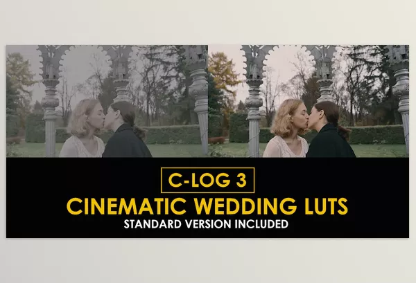 Videohive – C Log3 Cinematic Wedding and Standard Color LUTs Download 50930806