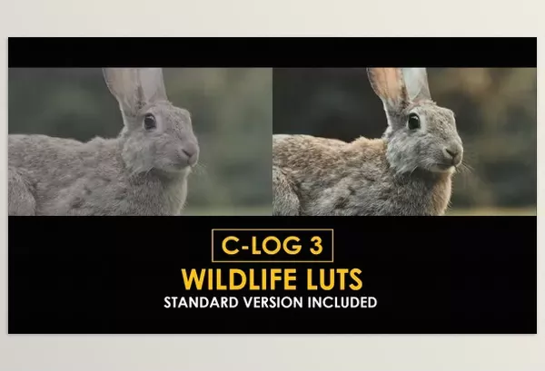 Videohive – C Log3 Wildlife and Standard Color LUTs Download 50930916