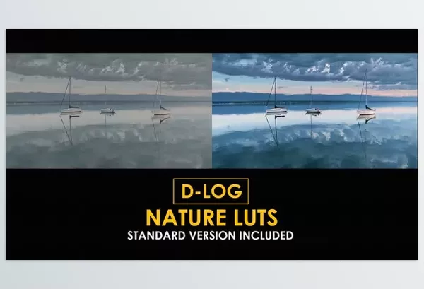 Videohive – D Log Cinema Drone Film Color LUTs Download 50930932