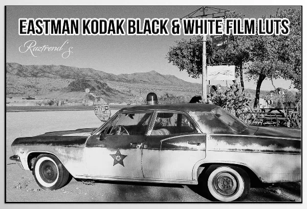 DesignBUNDELS.Net – Eastman Kodak Black and White Films LUTs Download