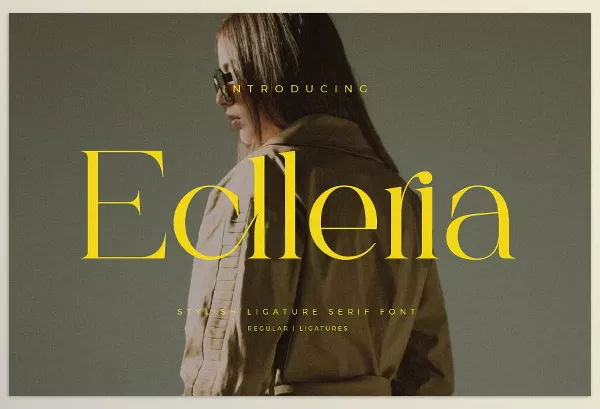 Creative Market – Eclleria Stylish Serif Font Download 289629821