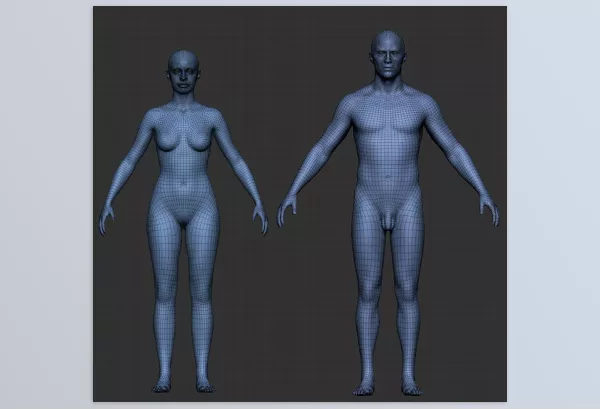 Gumroad – Pro Male and Female Basemesh 45K Download
