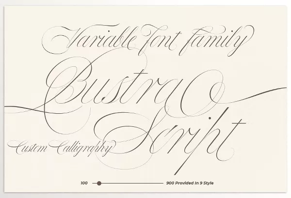 CreativeMarket – Bustra Script Pro Font Download 91936570