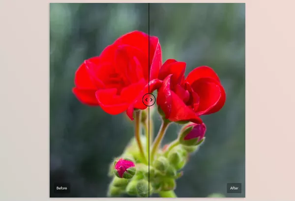 Cobalt Image – The Base Pack for Adobe Download v3 (for Canon EOS R)