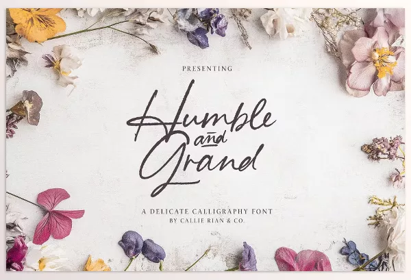Creative Market – Humble and Grand Handwritten Script Download 287020828