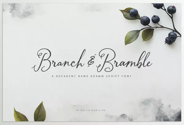 Creative Market – Branch and Bramble Calligraphy Font Download 291206359