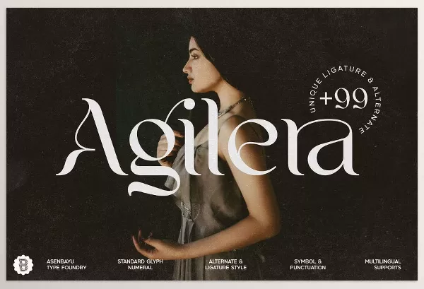 Creative Market – Agilera Stylish Ligature Font Download 281789023