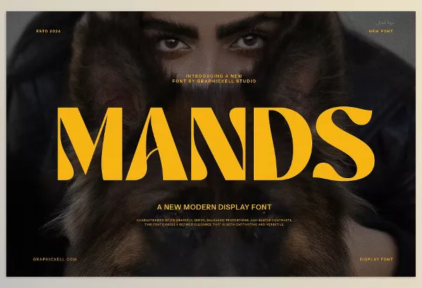 Creative Market – Mands Unique Serif Font Download 283657321