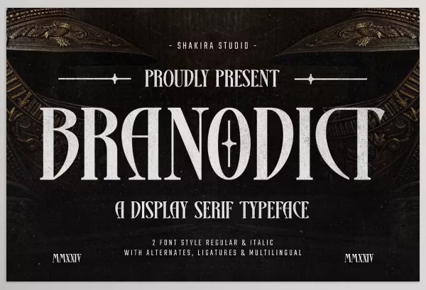Creative Market – Branodict Modern Display Serif Download 291291893