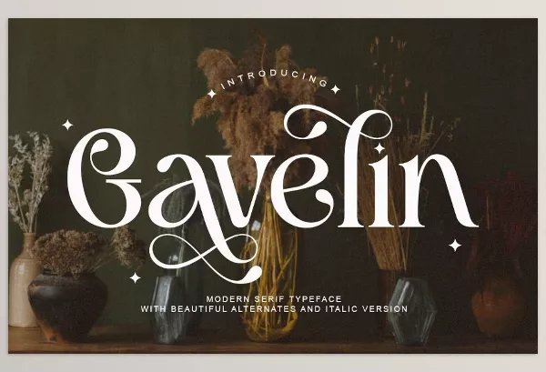 Creative Market – Gavelin Luxury Serif Font Download 291306398