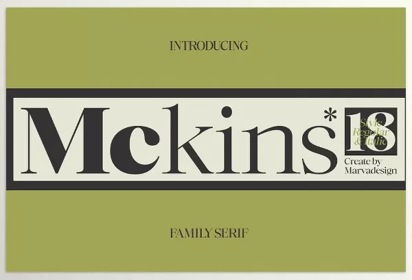 Creative Market – Mckins Family Serif Font Download 291343174
