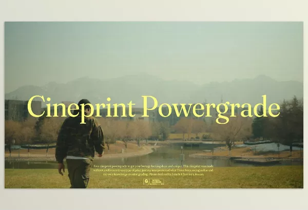 Gumroad – Roninxvi Powergrade Download