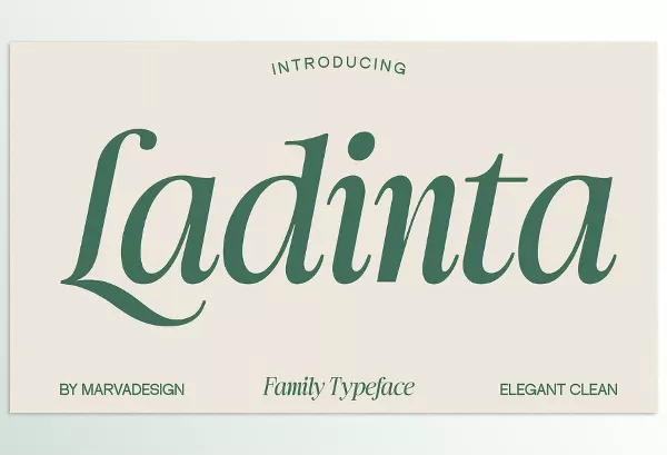 Creative Market – Ladinta Family Serif Font Download 291256536