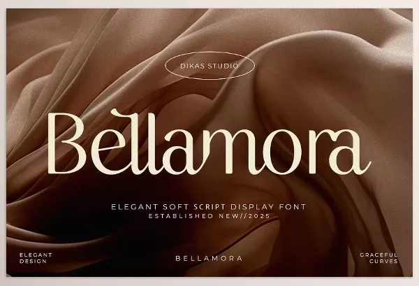 Creative Market – Bellamora Aesthetic Script Font Download 291372974