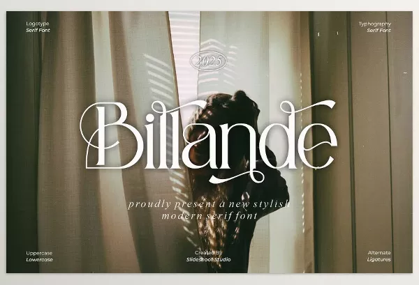 Creative Market – Billande Stylish Serif Font Download 291434703