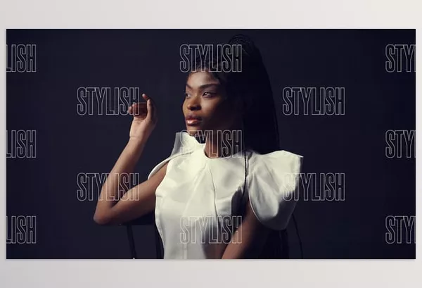 Videohive – Slideshow Stylish Intro Download 52659234