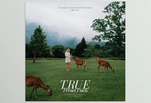 Itijarve – True Preset Pack Download
