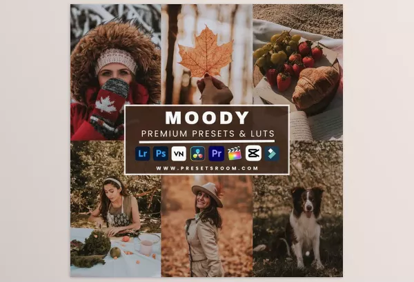 Presetsroom – Moody Lightroom Presets and Luts Collection Download