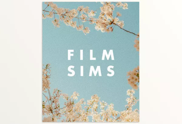 Media by AV – AV FILM SIMS BUNDLE (4 PACKS) Download